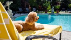 IMG 9863 Villa Principe Leopoldo 2024