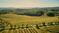 Cycling through Estate Aerial COMO Castello del Nero