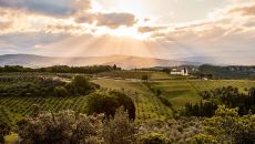 Dawn over the Tuscan Landscape COMO Castello del Nero