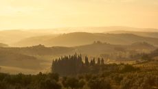 Morrell Castelo del Nero0894 COMO Castello del Nero