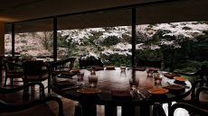 dining room cherry blossom tree