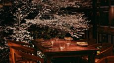 lobby cherry blossom tree