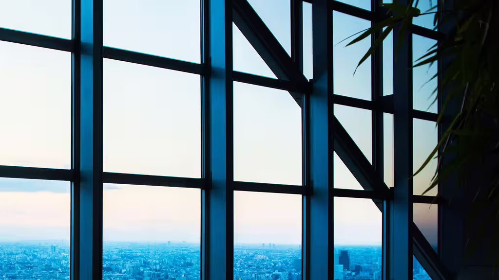 Park Hyatt Tokyo panoramic city skyline view at night from the Peak Lounge Shinjuku Japan