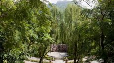 Pathway through trees