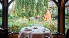 Dining with garden view