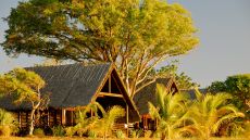 Villa exterior tree at sunset