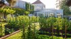 Hotel exterior gardens