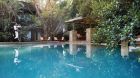 Saxon Koi Terrace3