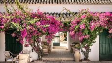 outdoor space with flowers