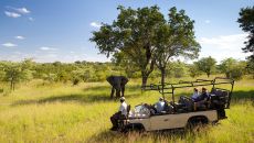 ulusaba game drive