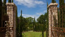 Entrée Clairière Cyprière Domaine du Mas de Pierre