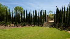 Clairière Cyprière Domaine du Mas de Pierre