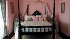 Simbong Butterfly Room