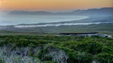 expansive view from forest lodge