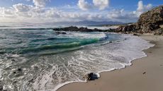 Grootbos Beach Safaris