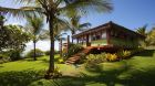 Villa exterior palm trees