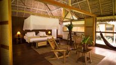Amazonica Suite