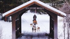 Christmas Highlights