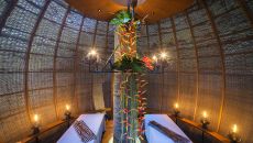 Coqoon Nest Inside Straight Close Up The Slate