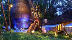 Coqoon Nest Suites The Slate