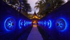 Black Ginger Entrance Far The Slate