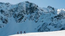 004898  Snowshoe walk copy.