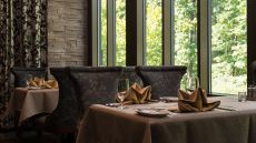 Tree Restaurant Window Seat The Lodge at Woodloch