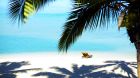 Pacific Resort Aitutaki Beachfront