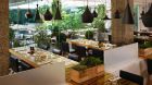 Dining Sanderson
