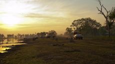 Safari Bamurru Plains
