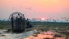 Safari Bamurru Plains