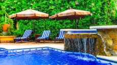 Atrium restaurant with garden view