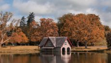 Carton Autumn at Carton House