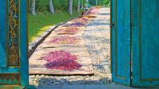 waterfront view bedroom