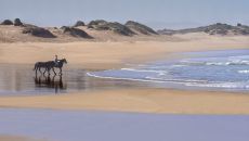 horseback riding on the beach