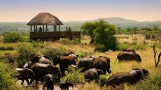 Chairman Suite Rooftop Terrace