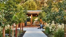 Dine Pico Bar at Solage an Auberge Resort