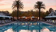 Pool Solage at Solage an Auberge Resort