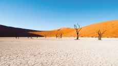 Sossusvlei excursion Deadvlei