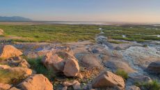 Outdoor pool with loungers