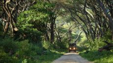 Private gathering at sunset