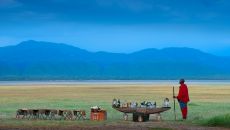 Drink stop and Beyond Lake Manyara Tree Lodge