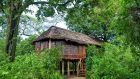 Family treehouse suite exterior and Beyond Lake Manyara Tree Lodge