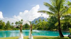  Spa  Beach  Wedding  Arch 