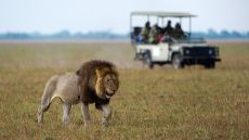 Hotel exterior courtyside