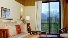 Treehouse from olive grove