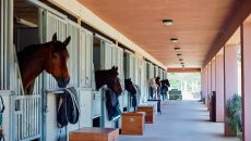Equestrian at Fairmont Grand Del Mar