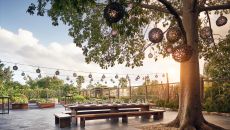 20170119 173513 mayakoba 8502 at Rosewood Mayakoba