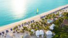 The Beach Shack Aerial Banyan Tree Mayakoba