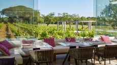  Dining  Vineyard  Domaine de  Verchant.